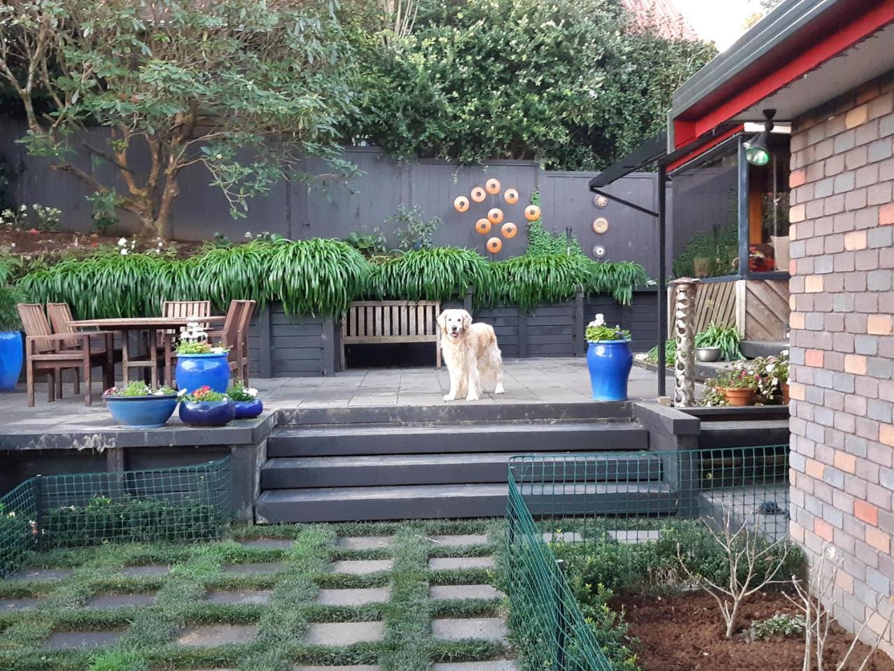 Sequoia Steps Bed and Breakfast New Plymouth Exteriör bild
