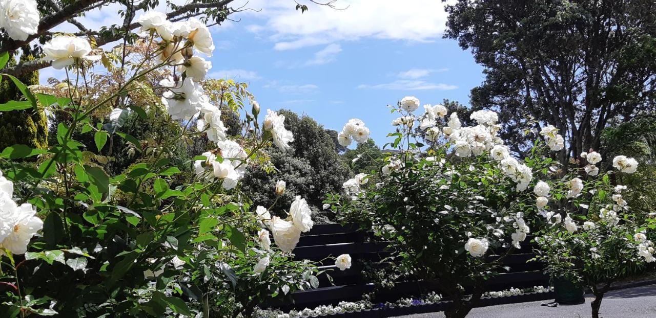 Sequoia Steps Bed and Breakfast New Plymouth Exteriör bild